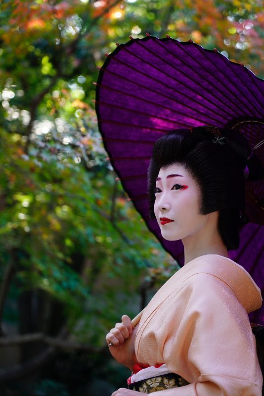京都の花街～舞妓さん芸妓さんと和傘～ - 日本最古の京都和傘屋 辻倉